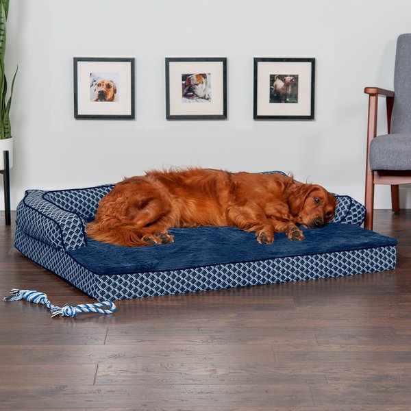 Pet Care cover photo collage