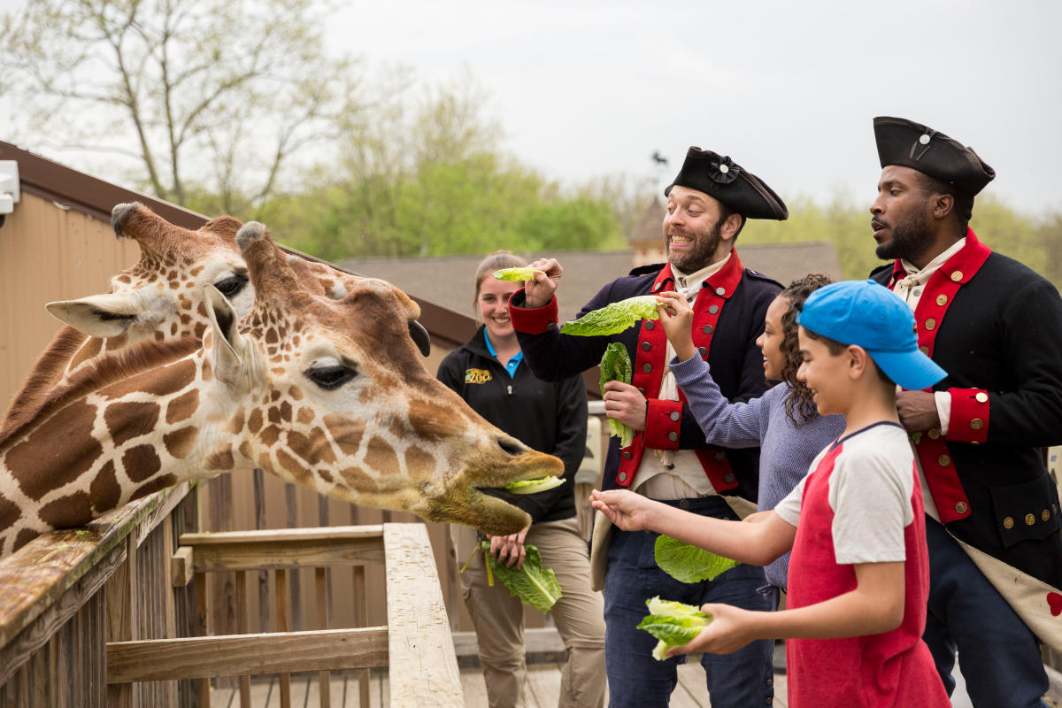 Montgomery & Bucks County , PA + Nearby Things to do cover photo collage