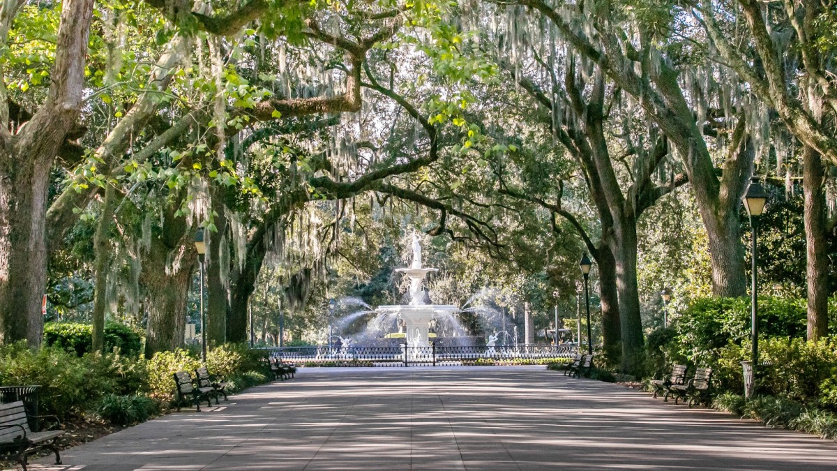 Your Guide to Savannah, Georgia cover photo collage