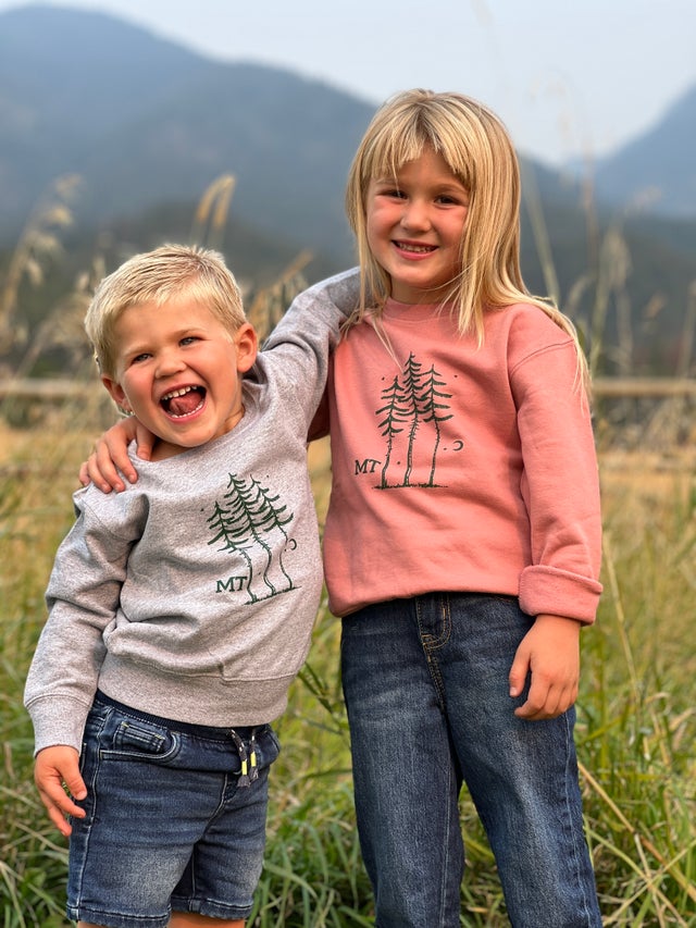 Sweet Dreams and Playful Schemes: A Toddler's Wishlist cover photo collage