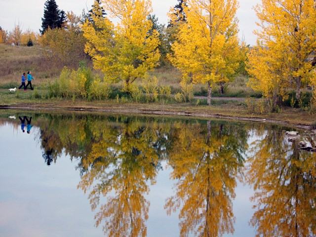 Cochrane. I live here! cover photo collage