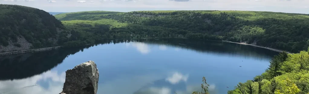 Soul searching in the Trees cover photo collage