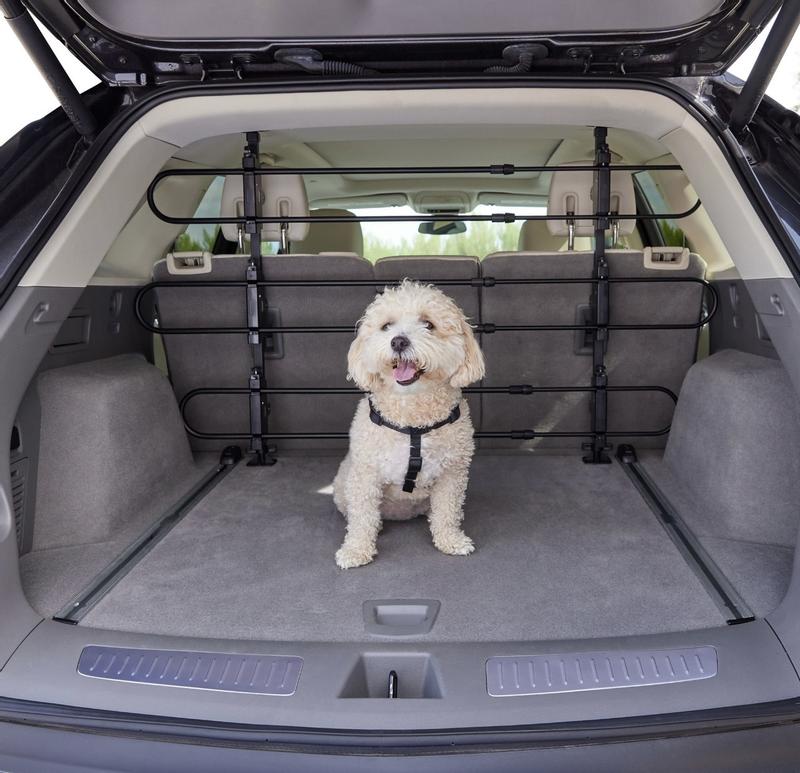 Dogs on Car Trips. Keep Them Safe On the Go! cover photo collage