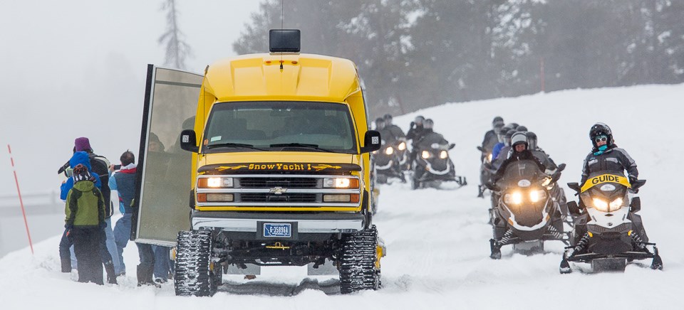 Winter In Yellowstone cover photo collage