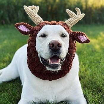 Random Items we recommend for dog people! cover photo collage
