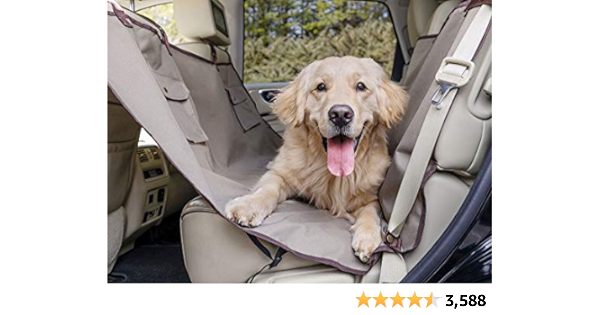 Natural Pet Care & Dog Training cover photo collage