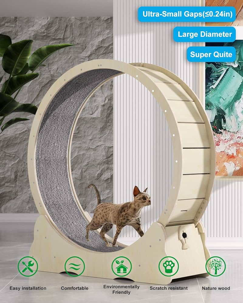 Puurfect Feline Finds cover photo collage