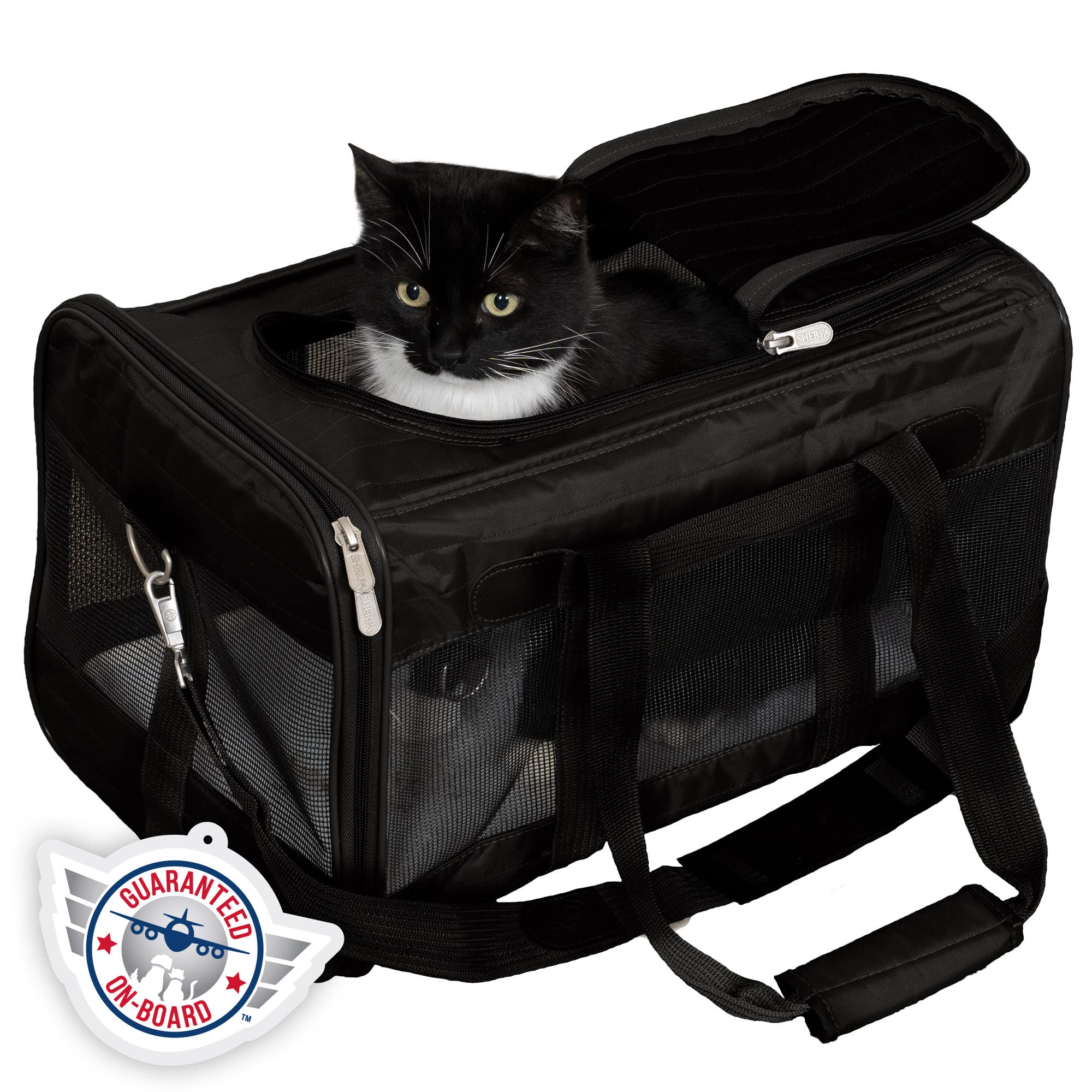 Road Trips and Traveling with Cats cover photo collage