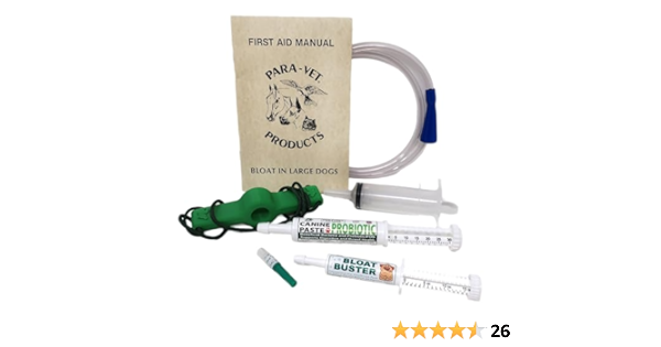 First Aid, Health Care and Dog Recovery cover photo collage