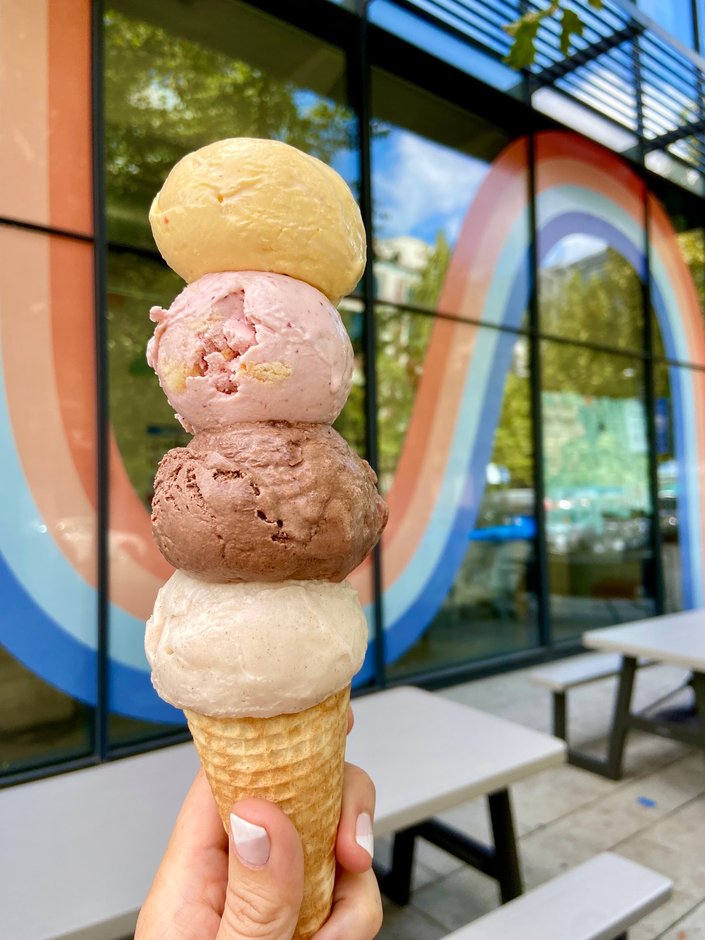 Best places to visit in DC cover photo collage