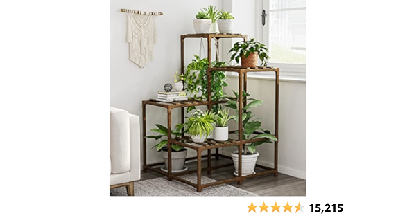 For the plant parents 🪴 cover photo collage