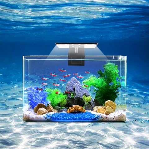 Everything but the Fish! Live Plants on Amazon! cover photo collage