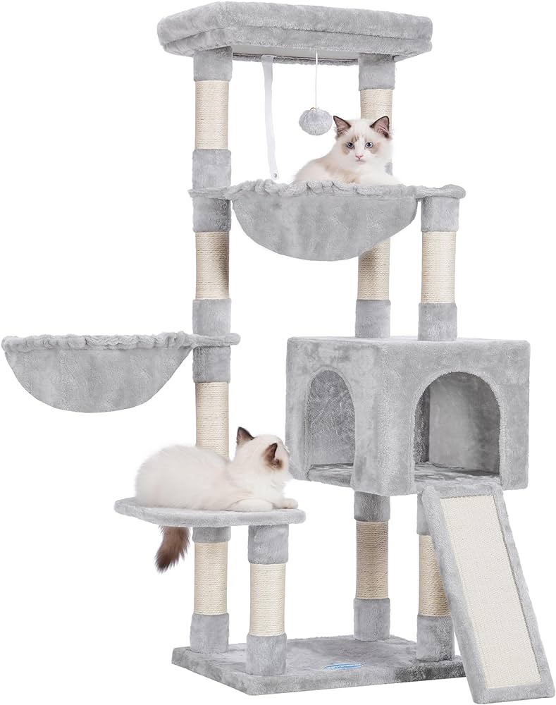 Adopting a Cat in the Bay Area cover photo collage