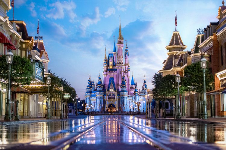 Everything Disney °○° cover photo collage