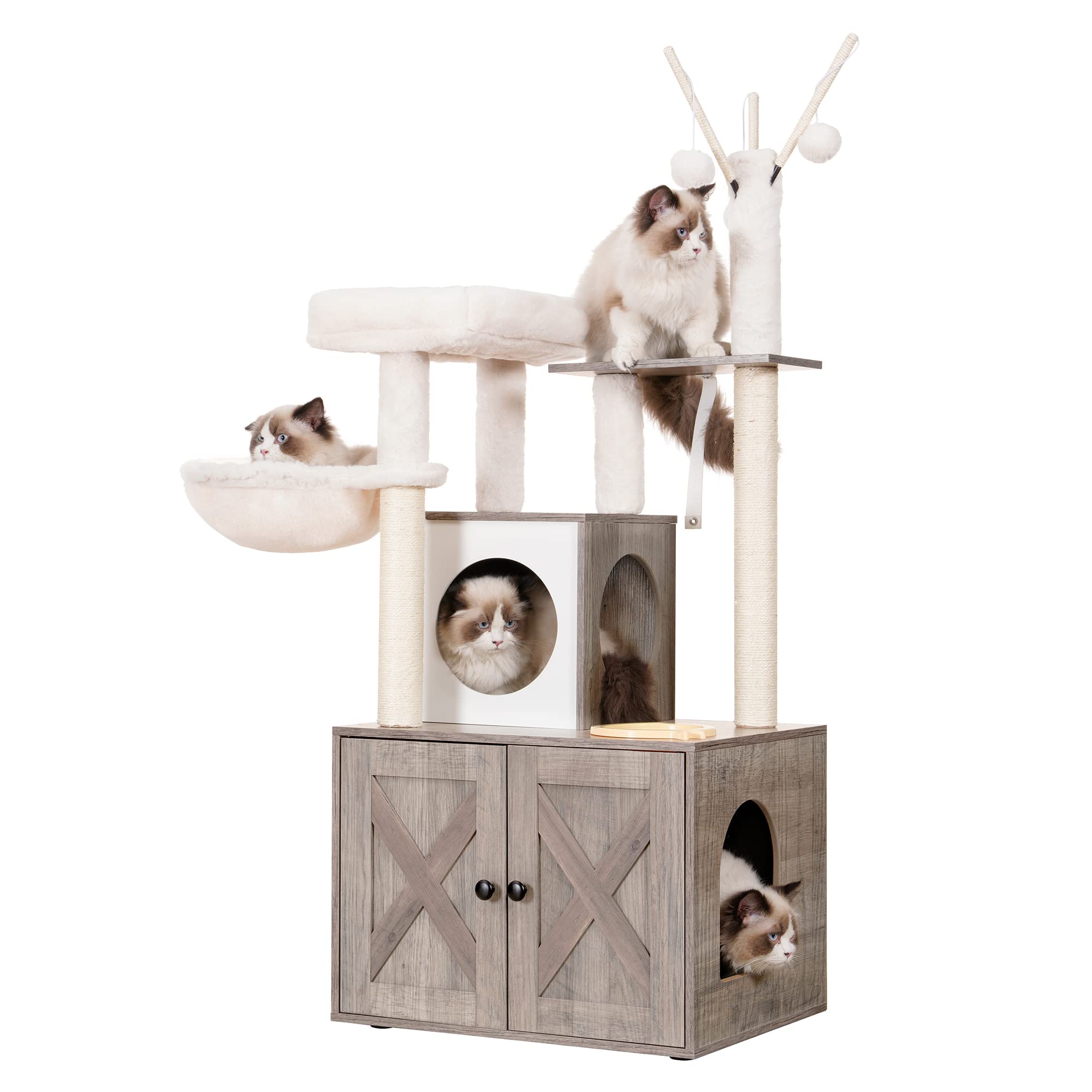 Pets Contest - Favorite Items from Millie, My Kitty, and Me! cover photo collage