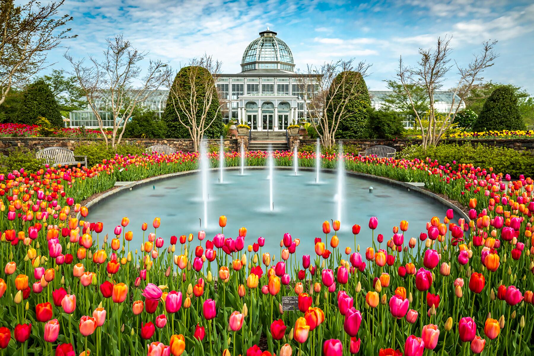 Spring Has Sprung: Making Memories Outdoors cover photo collage