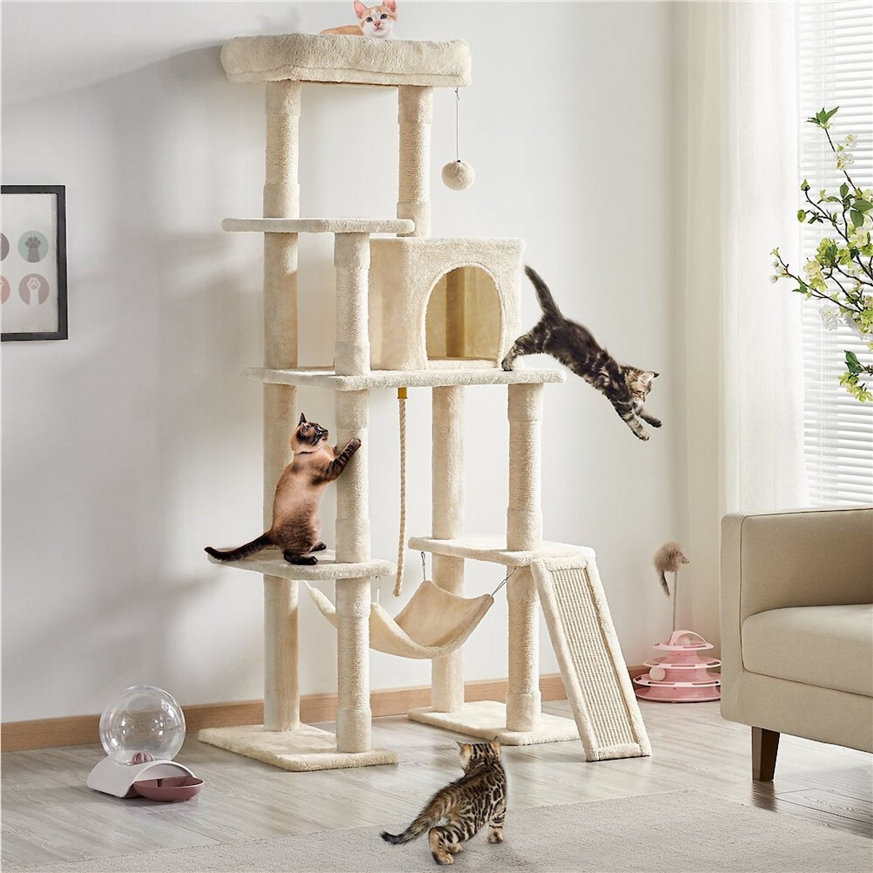 For the Kitties! cover photo collage
