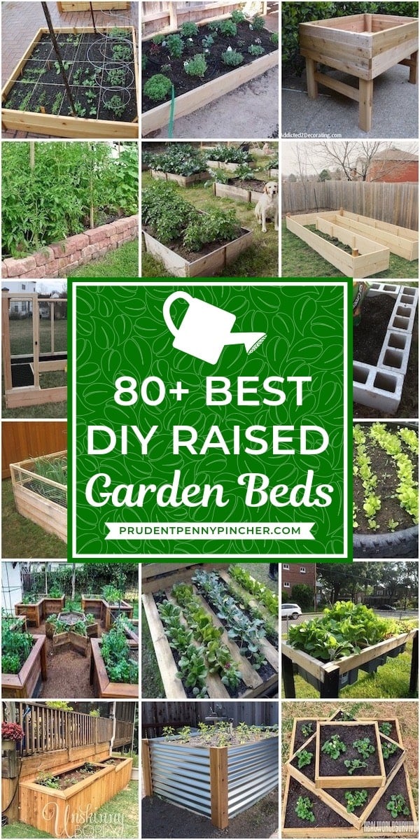 Building your home raised garden beds cover photo collage