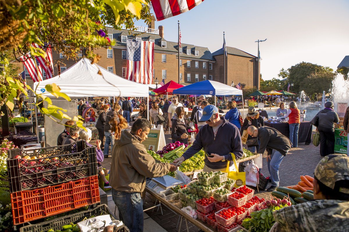 Must-Try Spring Activities in Northern VA cover photo collage