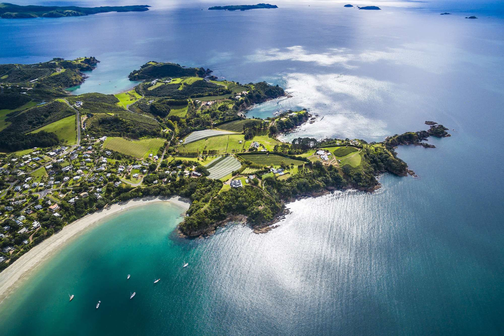 North Island | New Zealand Travel Guide - do, eat, stay, and pack cover photo collage