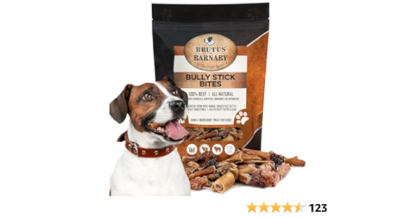Nose 2 Tail - Everything a Large dog needs for a lifetime of happiness cover photo collage