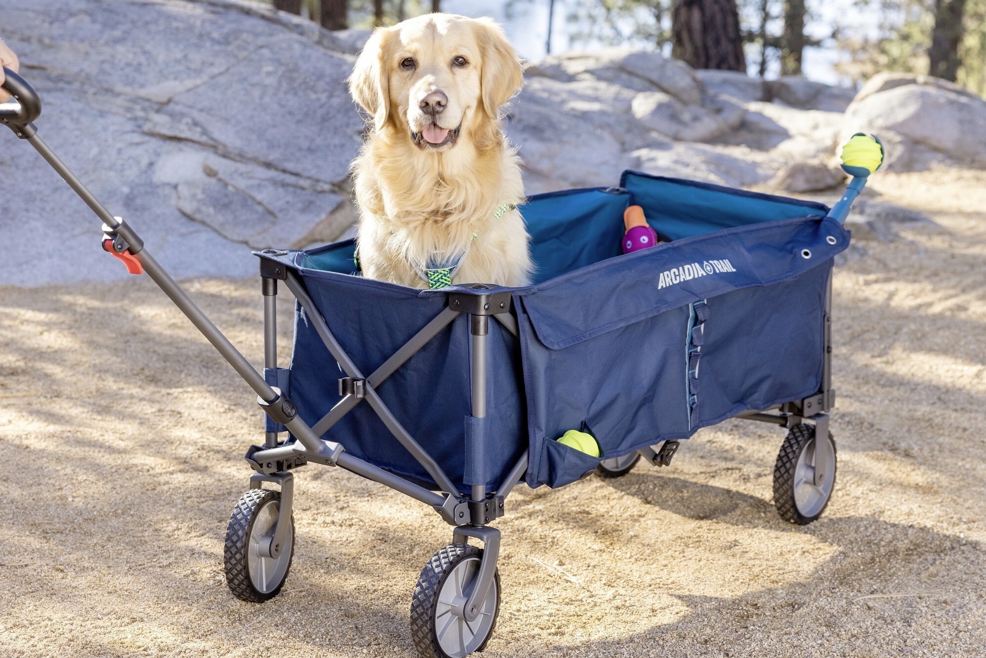 Pet Parent Picks: Must-have Pet Supplies cover photo collage