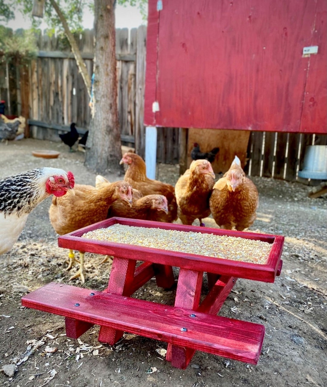 Cottagecore Chicken Love cover photo collage
