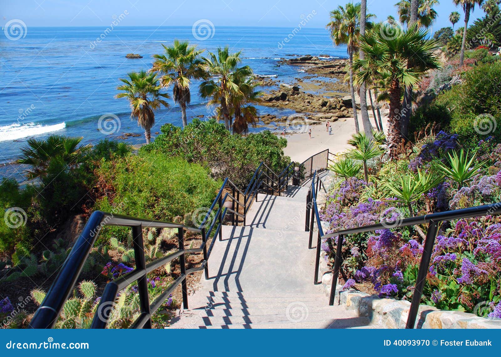 Spring Fever in Orange County, California cover photo collage