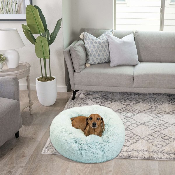Pet Care Essentials and Favs cover photo collage