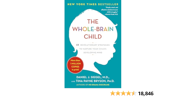 Social-Emotional Regulation and Child Development: Must-Reads on Amazon cover photo collage