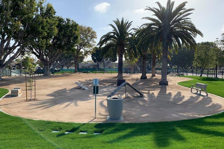 Life is Better with a Wagging Tail by Your Side cover photo collage