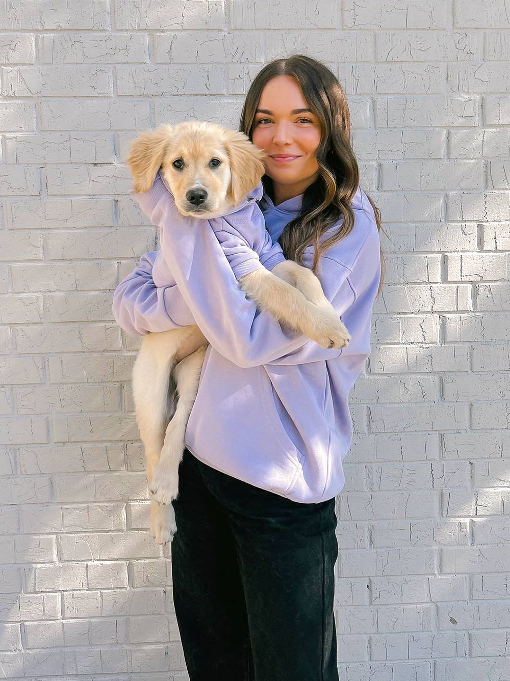 Must-Have Small Dog Items! cover photo collage