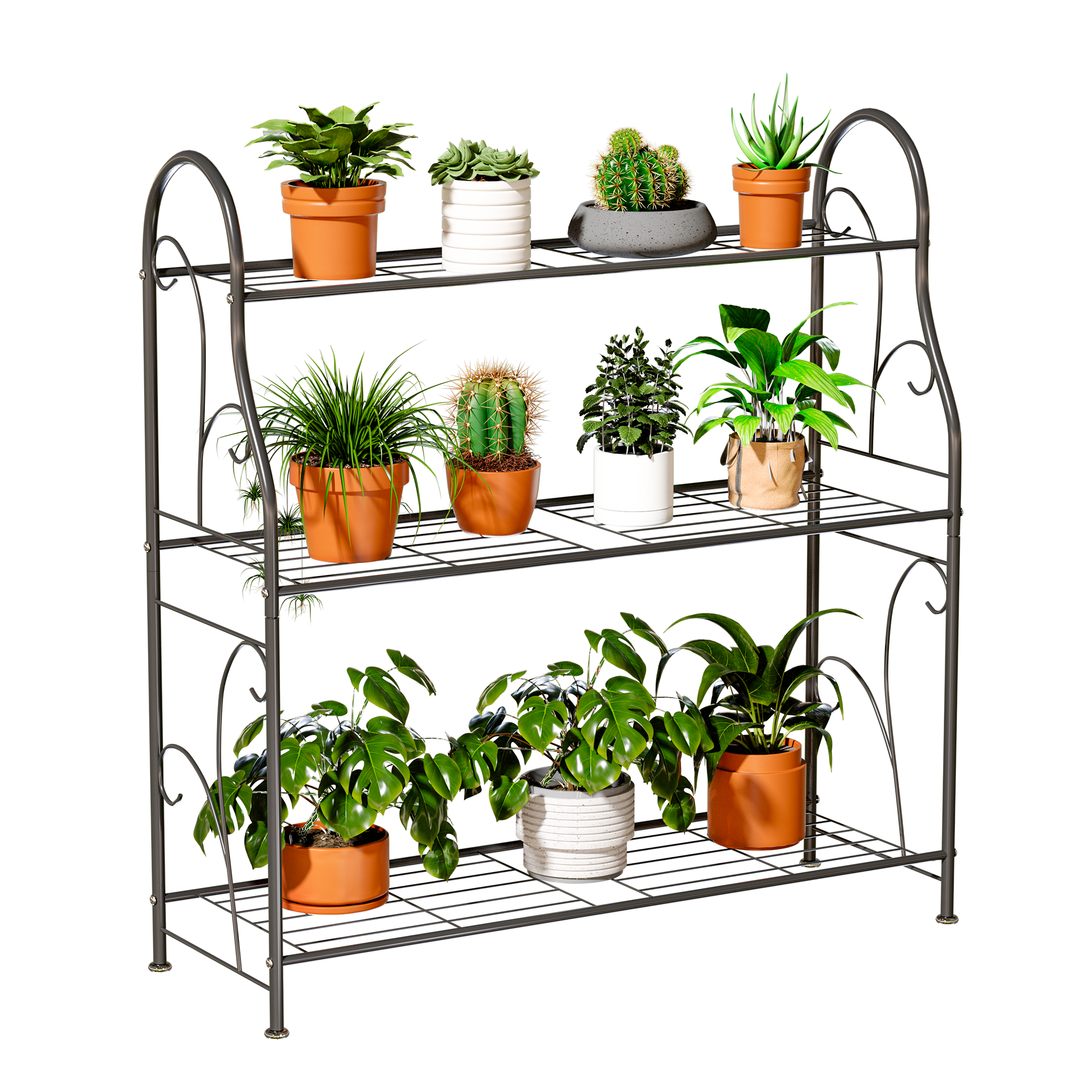Plants for the Home, Bring the outside IN 🪴 cover photo collage