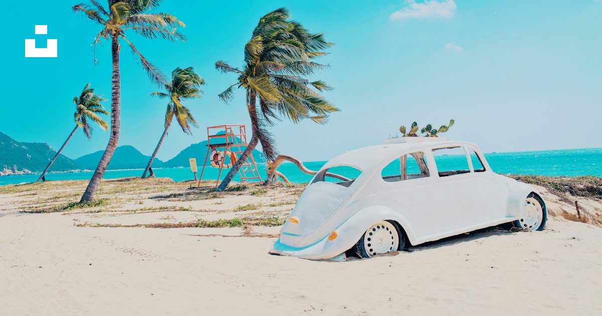 Summer Bliss: Captured Moments of Sun-Kissed Splendor cover photo collage