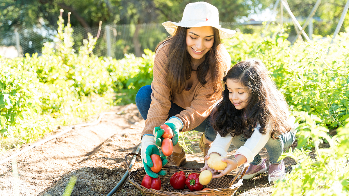 Flourish and Thrive: Spring Gardening Picks cover photo collage