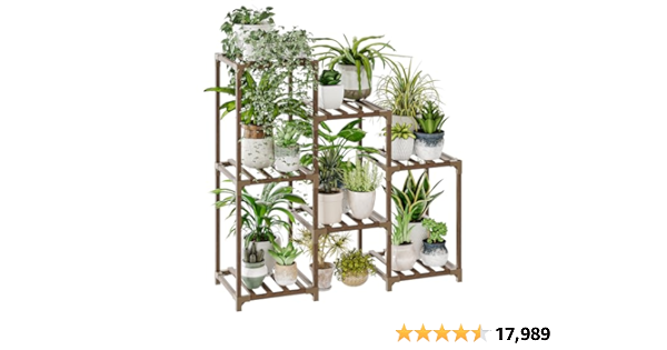 Plant Parent Must haves! cover photo collage