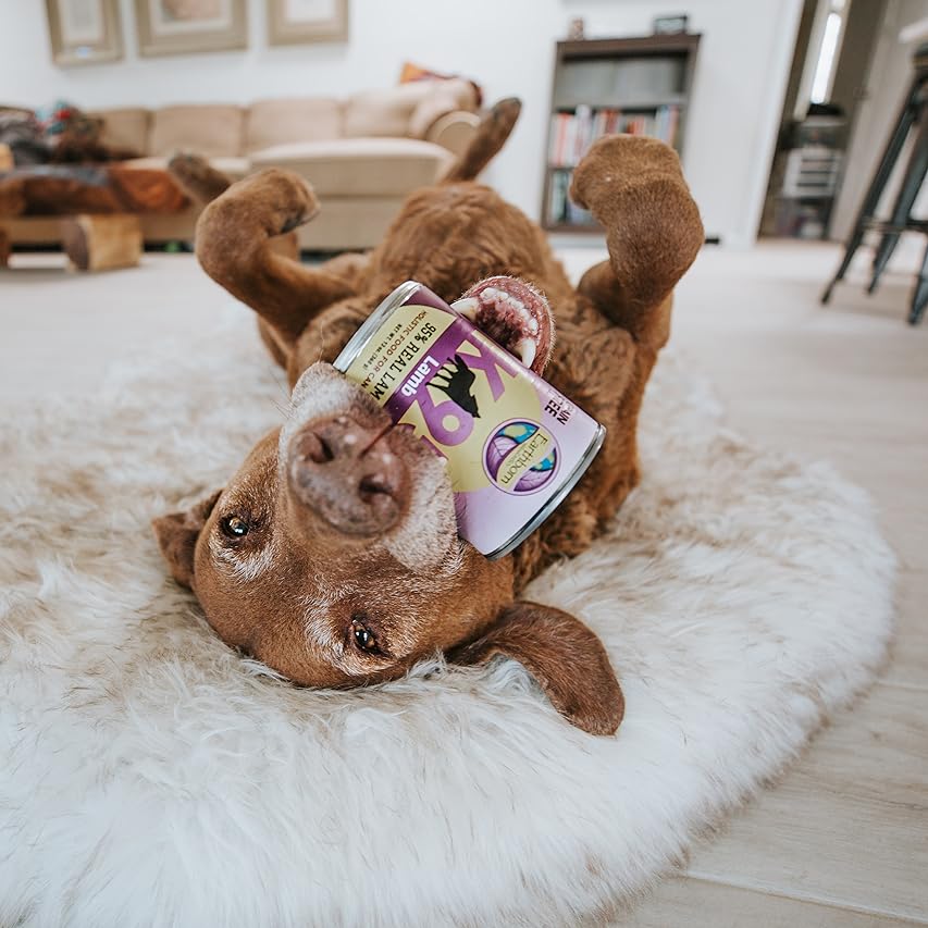 All things furbaby! - Cats & Dogs cover photo collage