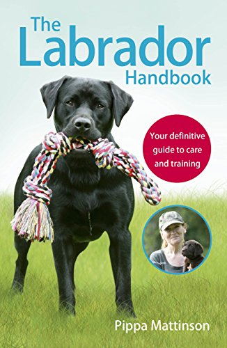 Labrador Retriever cover photo collage