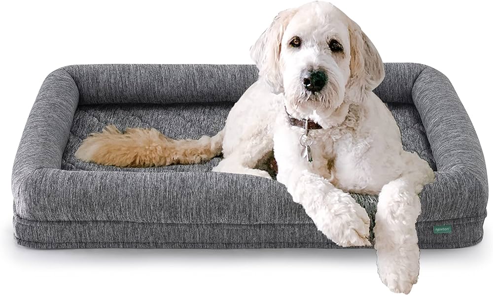Pawsome Picks: Dog Finds for Pet Parents cover photo collage
