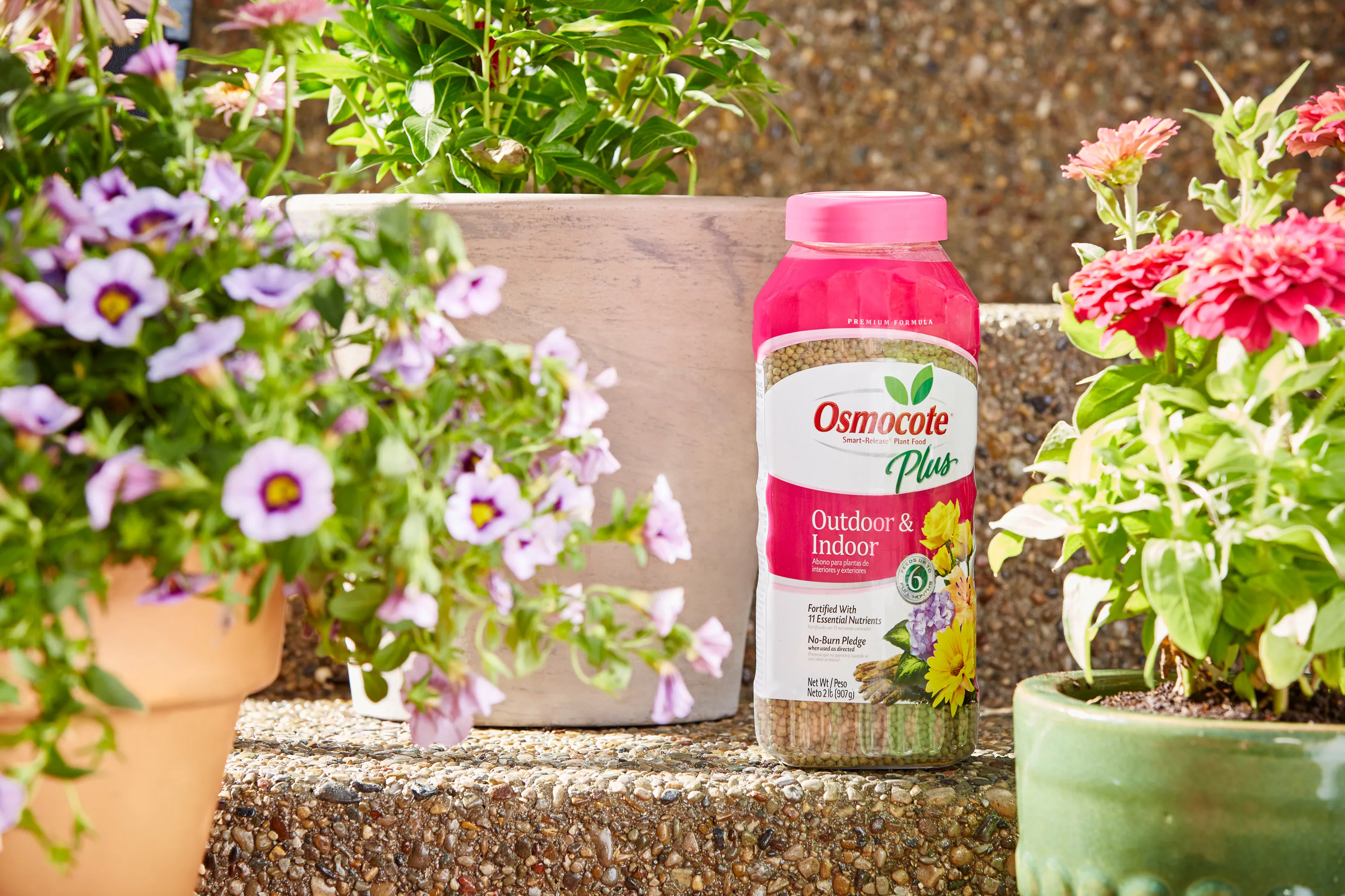 🪴Chaotic Plant Parent Starter Pack! cover photo collage