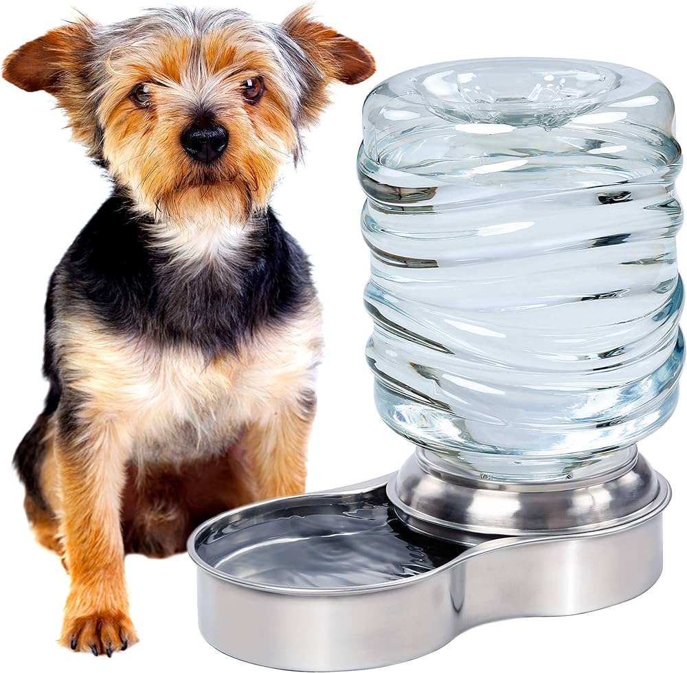 all the essentials for our loyal dogs (beds, bowls and toys) 🐕 cover photo collage