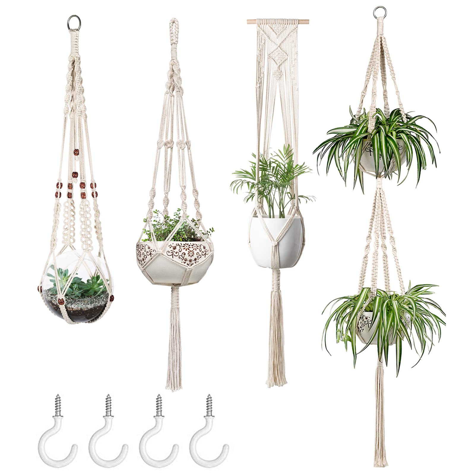 Creative Home Decor for Plant Lovers 🌿 cover photo collage