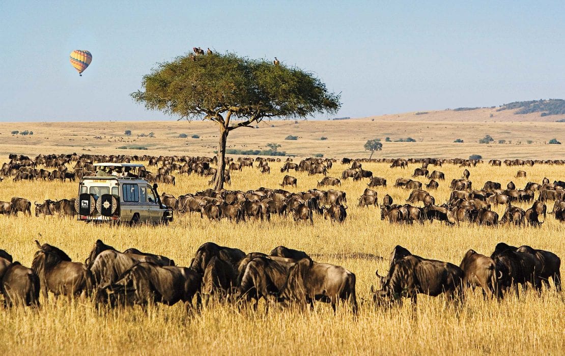 Travel to Kenya cover photo collage
