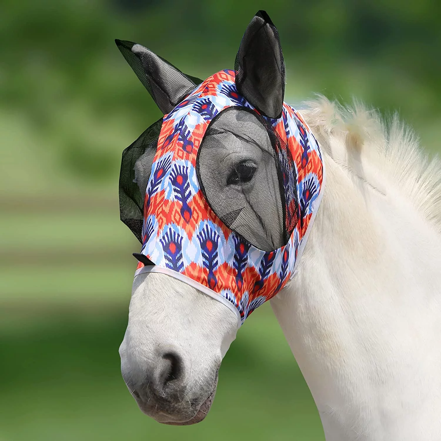 Horse Products cover photo collage