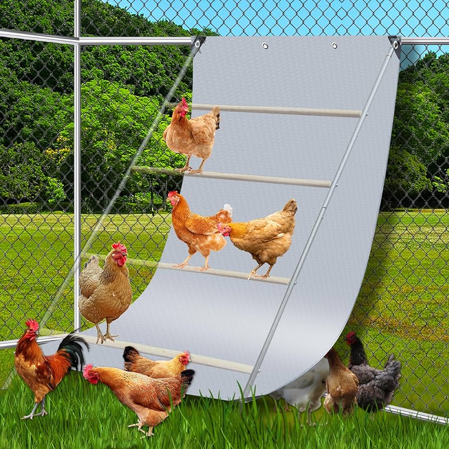 All About Chickens cover photo collage