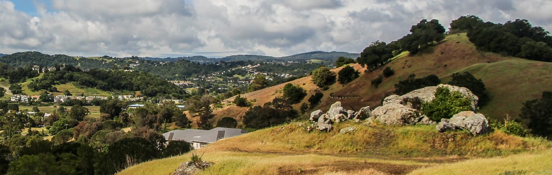 Mill Valley and Marin County, CA Things to Do! cover photo collage