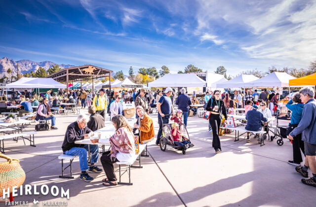 Great Places & Things to Do & See in Tucson, AZ cover photo collage