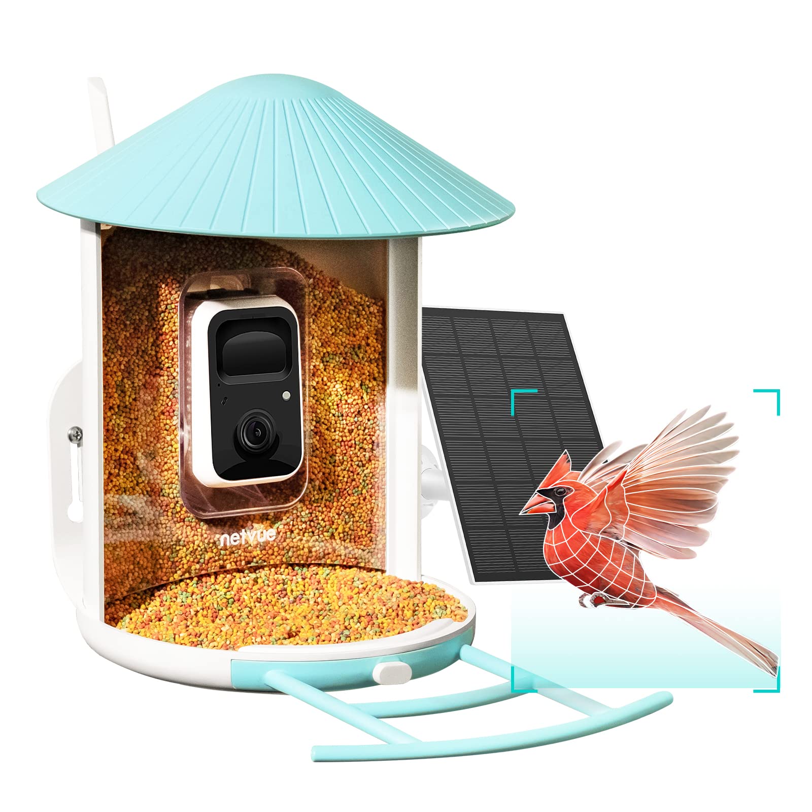 Gift Ideas for Bird Lovers cover photo collage