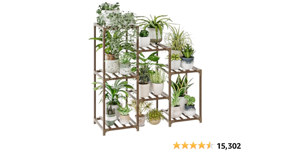 Indoor Plants cover photo collage