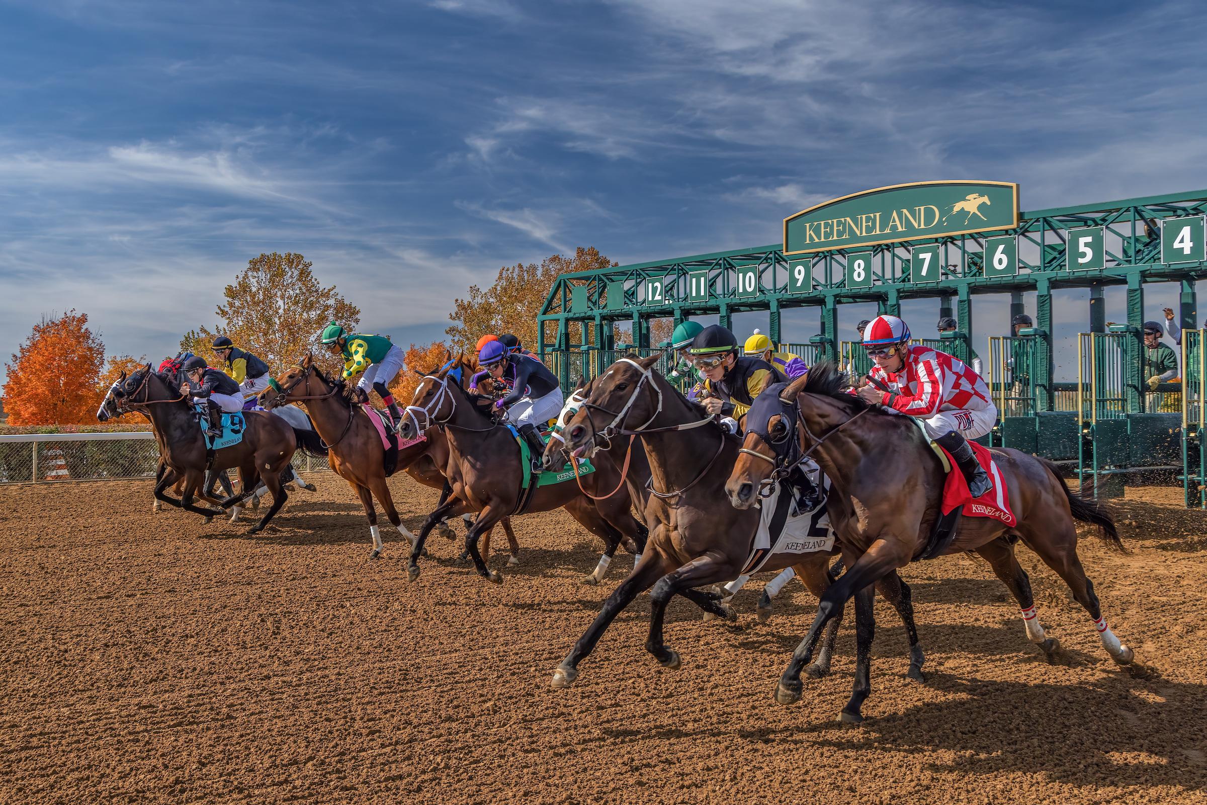 Lexington KY 🐎 Horse Capital of the World! cover photo collage